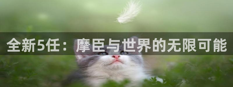 奇亿娱乐是赌博吗：全新5任：摩臣与世界的无限可能