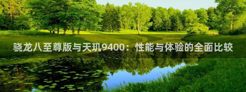 奇亿娱乐.ccm苹果版：骁龙八至尊版与天玑9400：性能与体验的全面比较