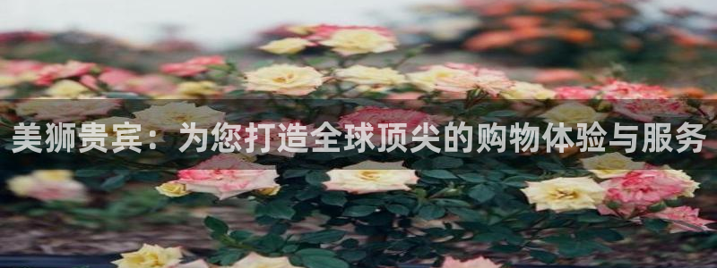奇亿娱乐3登录：美狮贵宾：为您打造全球顶尖的购物体验与服务