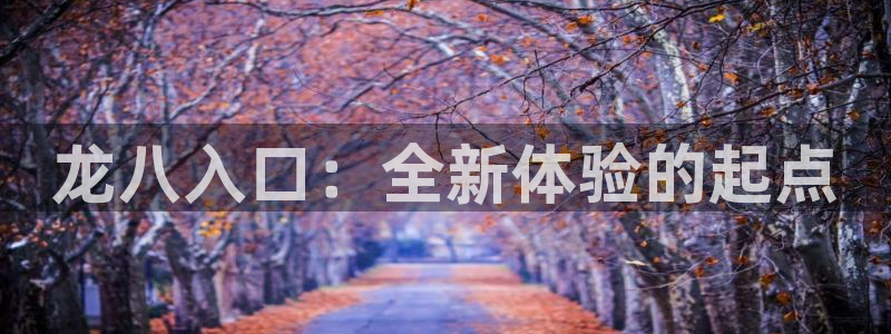 奇亿娱乐体育：龙八入口：全新体验的起点