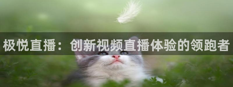 奇亿娱乐注册网页版：极悦直播：创新视频直播体验的领跑者