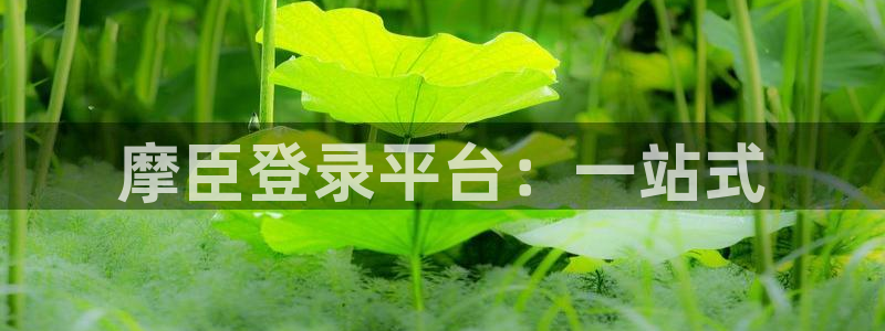 奇亿娱乐3平台登录注册：摩臣登录平台：一站式