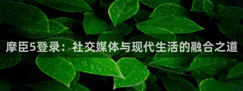 奇亿娱乐4平台注册：摩臣5登录：社交媒体与现代生活的融合之道