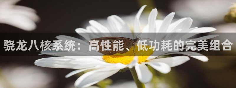 奇亿娱乐赏金女王：骁龙八核系统：高性能、低功耗的完美组合
