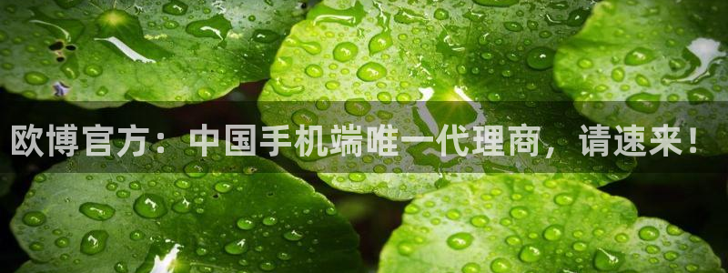 奇亿娱乐平台链接：欧博官方：中国手机端唯一代理商，请速来！