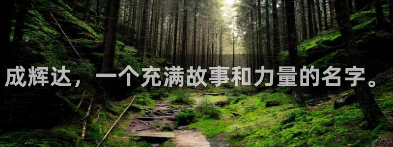 奇亿娱乐体育平台开号链接：成辉达，一个充满故事和力量的名字。