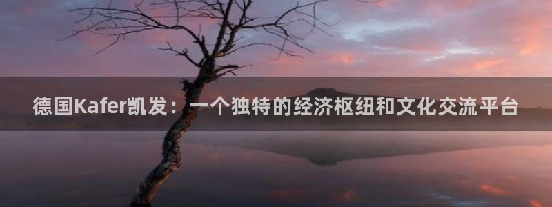 奇亿娱乐：德国Kafer凯发：一个独特的经济枢纽和文化交流平台