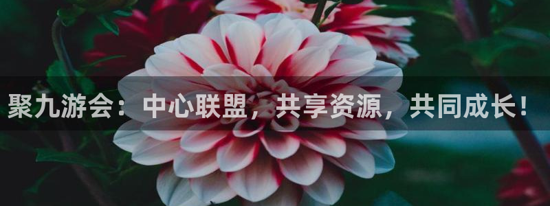 奇亿娱乐app：聚九游会：中心联盟，共享资源，共同成长！