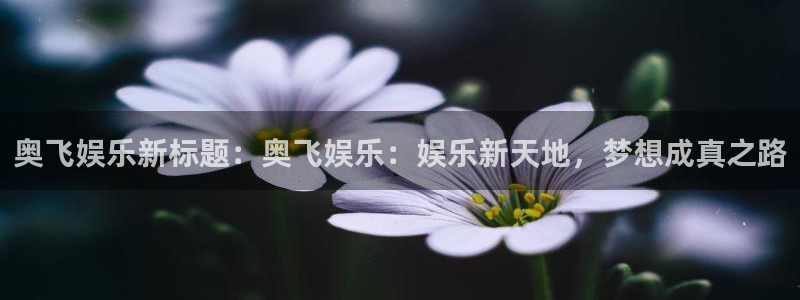 奇亿娱乐平台开户链接：奥飞娱乐新标题：奥飞娱乐：娱乐新天地，梦想成真之路