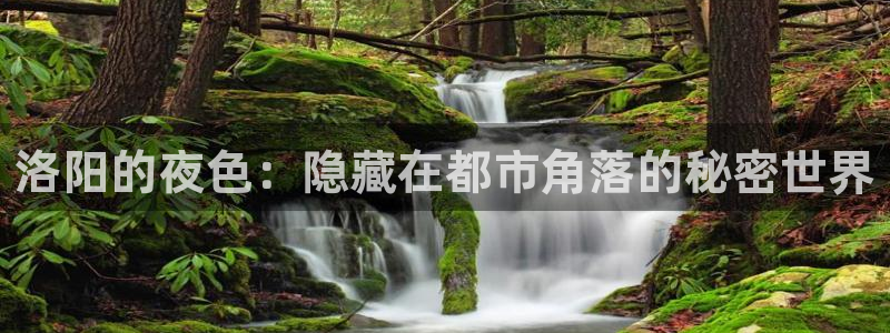 奇亿娱乐零能源集团：洛阳的夜色：隐藏在都市角落的秘密世界