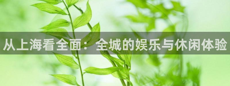 奇亿娱乐体育eon：从上海看全面：全城的娱乐与休闲体验