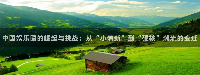 奇亿娱乐4官网：中国娱乐圈的崛起与挑战：从“小清新”到“硬核”潮流的变迁