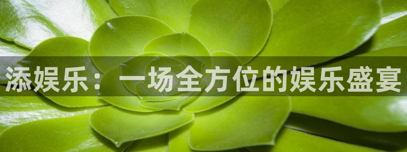 奇亿娱乐登录注册：添娱乐：一场全方位的娱乐盛宴