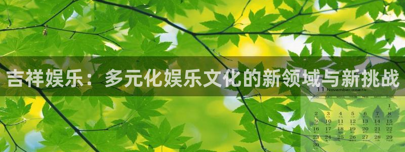 奇亿娱乐4代理：吉祥娱乐：多元化娱乐文化的新领域与新挑战
