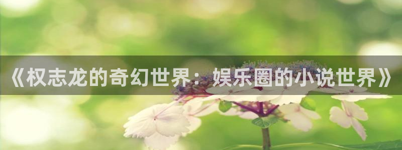 奇亿娱乐app哪个模式容易赢：《权志龙的奇幻世界：娱乐圈的小说世界》