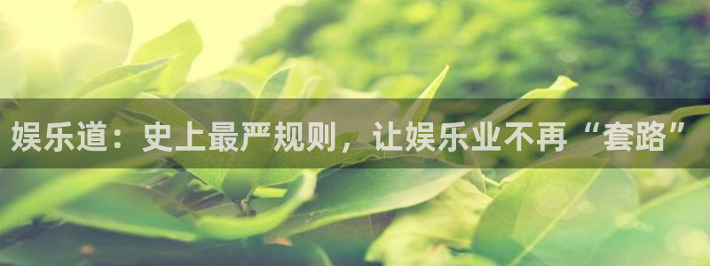 奇亿娱乐游戏官网版：娱乐道：史上最严规则，让娱乐业不再“套路”