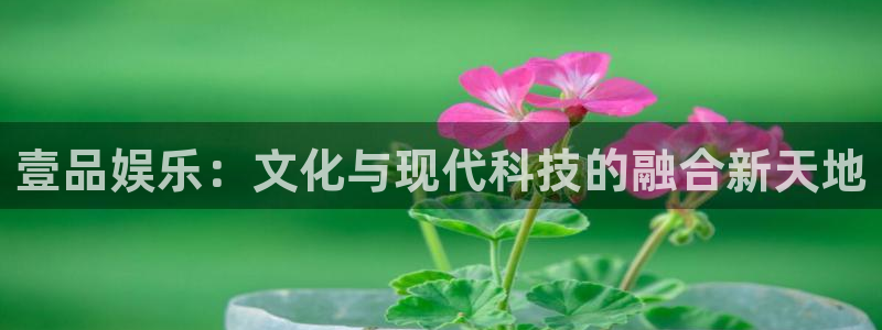 奇亿娱乐体育app下载：壹品娱乐：文化与现代科技的融合新天地