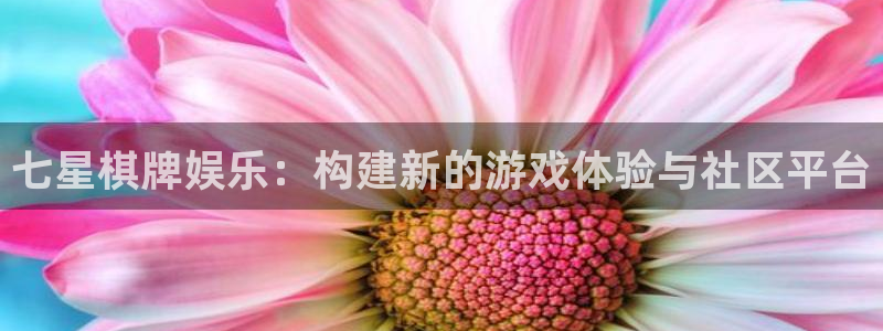 奇亿娱乐体育1招商：七星棋牌娱乐：构建新的游戏体验与社区平台