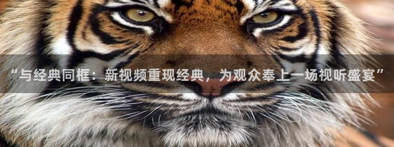 奇亿娱乐官网入口：“与经典同框：新视频重现经典，为观众奉上一场视听盛宴”