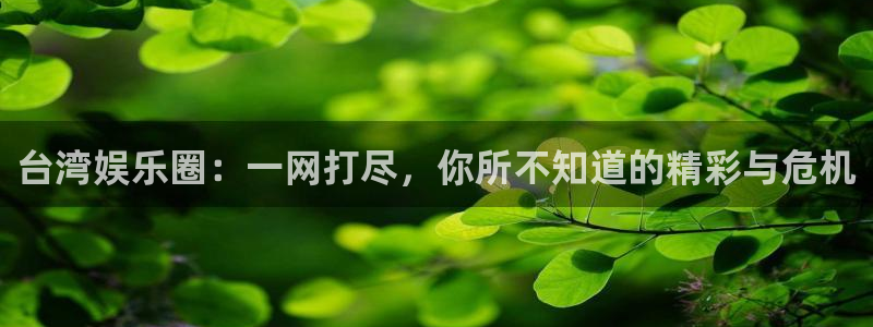 奇亿娱乐2官网：台湾娱乐圈：一网打尽，你所不知道的精彩与危机