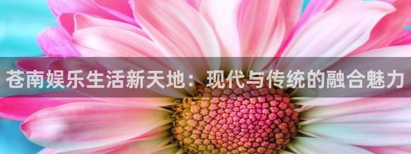 奇亿娱乐kgame：苍南娱乐生活新天地：现代与传统的融合魅力