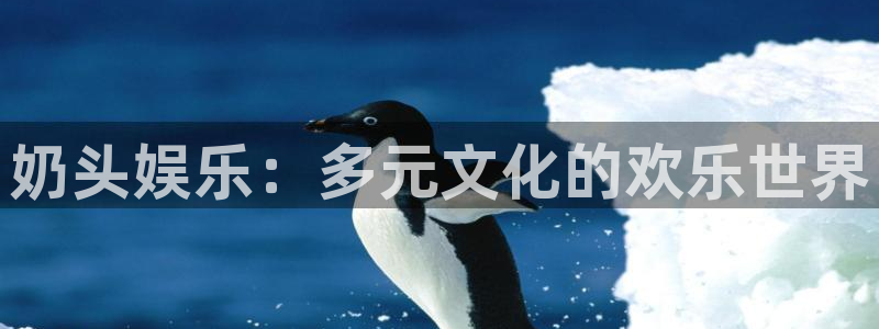 奇亿娱乐2官网：奶头娱乐：多元文化的欢乐世界