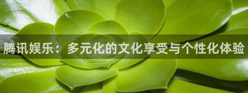 奇亿娱乐环保：腾讯娱乐：多元化的文化享受与个性化体验