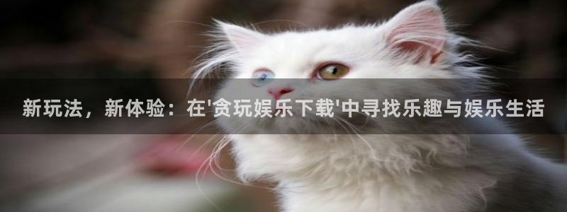 奇亿娱乐2注册：新玩法，新体验：在\'贪玩娱乐下载\'中寻找乐趣与娱乐生活