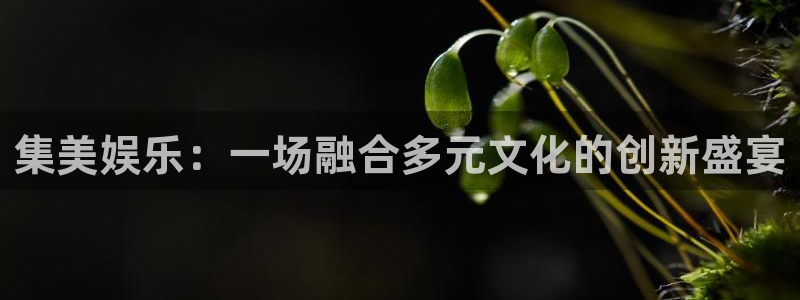 奇亿娱乐f凯捷注册：集美娱乐：一场融合多元文化的创新盛宴