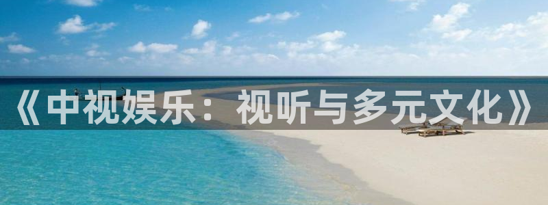奇亿娱乐平台注册：《中视娱乐：视听与多元文化》