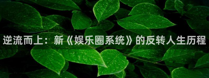 奇亿娱乐游戏：逆流而上：新《娱乐圈系统》的反转人生历程