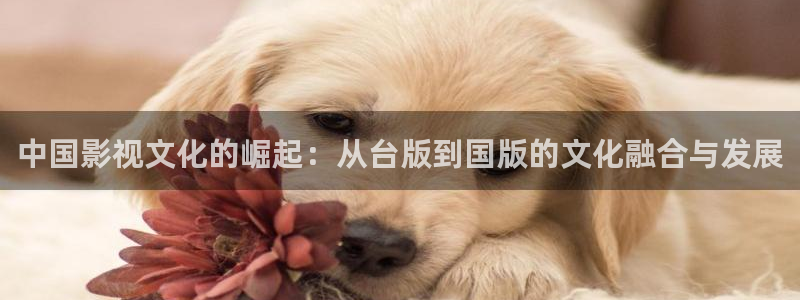 奇亿娱乐预测pc在线预测网址：中国影视文化的崛起：从台版到国版的文化融合与发展