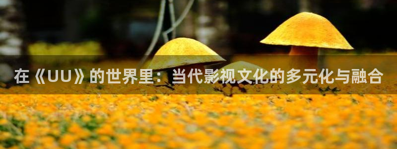 奇亿娱乐平台：在《UU》的世界里：当代影视文化的多元化与融合