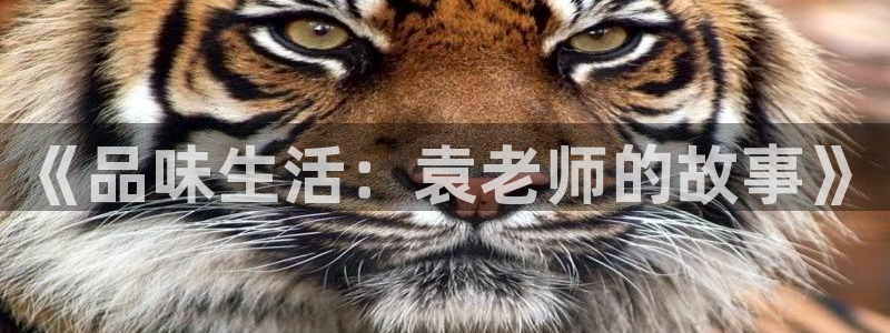 奇亿娱乐体育官网入口登录：《品味生活：袁老师的故事》