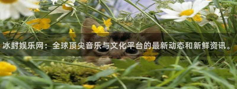 奇亿娱乐app下载