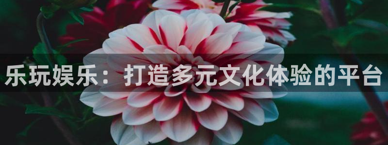奇亿娱乐凯捷开号链接：乐玩娱乐：打造多元文化体验的平台