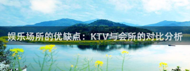 奇亿娱乐麻将胡了：娱乐场所的优缺点：KTV与会所的对比分析